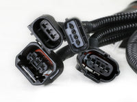 Thumbnail for Photo - Close Up