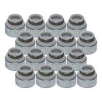 Thumbnail for Photo - Primary