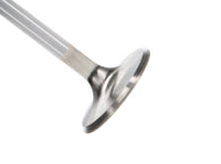 Thumbnail for Manley Ford 4.6L DOHC (4 Valve) Triple Groove 37mm Race Master Intake Valves - Single