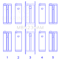 Thumbnail for Photo - Primary