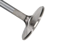 Thumbnail for Photo - Primary