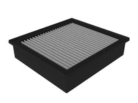 Thumbnail for Photo - Primary