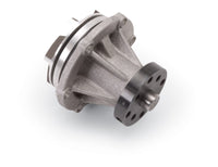 Thumbnail for Photo - Primary