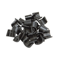 Thumbnail for Photo - Primary