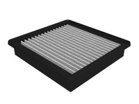 Thumbnail for Photo - Primary