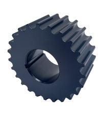 Thumbnail for Photo - Primary