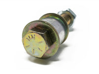 Thumbnail for Photo - Unmounted