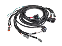 Thumbnail for Photo - Primary