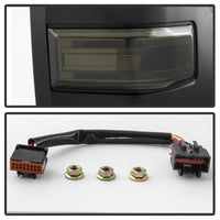 Thumbnail for Photo - Unmounted