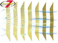 Thumbnail for Photo - Primary