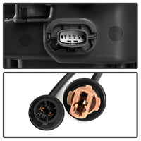 Thumbnail for Photo - Unmounted