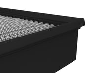 Thumbnail for Photo - Unmounted