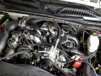 Thumbnail for Photo - Mounted