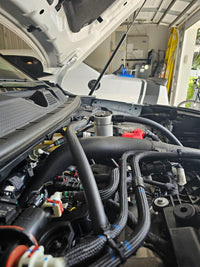 Thumbnail for Photo - Mounted