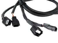 Thumbnail for Photo - Unmounted