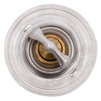 Thumbnail for Photo - Unmounted