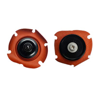 Thumbnail for Photo - Primary