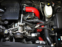 Thumbnail for Photo - Mounted