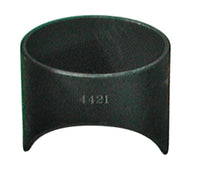 Thumbnail for Photo - Primary