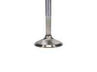 Thumbnail for User 3