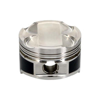 Thumbnail for User 4