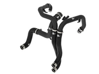 Thumbnail for Photo - Primary