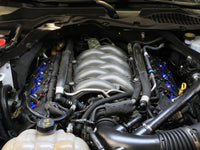 Thumbnail for Photo - Mounted