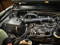 Thumbnail for Photo - Mounted