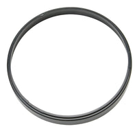 Thumbnail for Photo - Primary