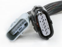 Thumbnail for Photo - Close Up