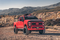 Thumbnail for Photo - Primary