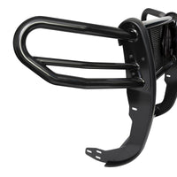 Thumbnail for Photo - Unmounted