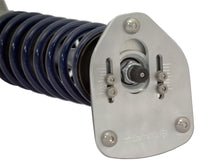 Thumbnail for User 2