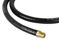 Thumbnail for Photo - Unmounted