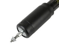 Thumbnail for Photo - Close Up