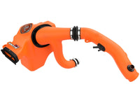 Thumbnail for Photo - Unmounted