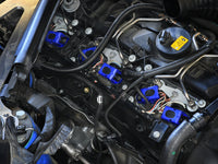 Thumbnail for Photo - Mounted