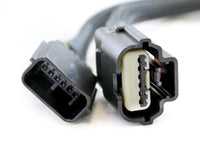 Thumbnail for Photo - Close Up