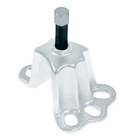 Thumbnail for Photo - Primary