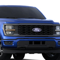 Thumbnail for Ford F-150 Front Emblem - With camera cutout (No Spray washer)