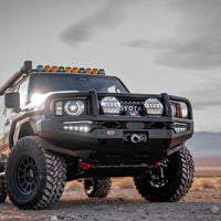 Thumbnail for Photo - Primary