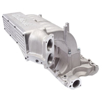 Thumbnail for Photo - Primary