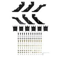 Thumbnail for Photo - Unmounted