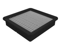 Thumbnail for Photo - Primary