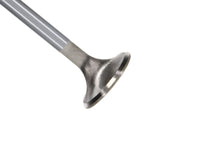 Thumbnail for Photo - Primary