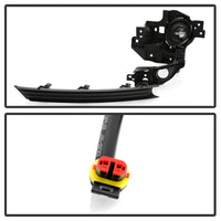 Thumbnail for Photo - Unmounted