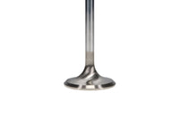 Thumbnail for User 3