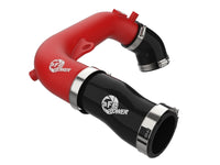 Thumbnail for Photo - Primary