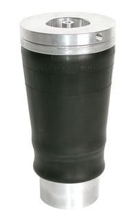 Thumbnail for Photo - Primary