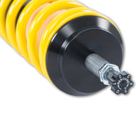 Thumbnail for ST X-Height Adjustable Coilovers 02-06 Mini Cooper R50 (Incl. Conv./Cooper/Cooper S)